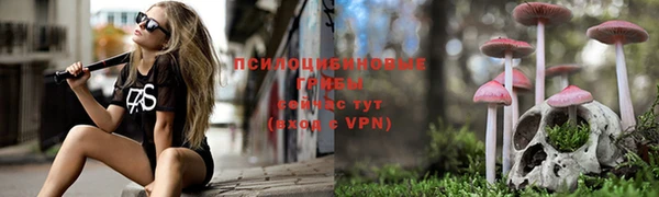 прущие крисы Волосово