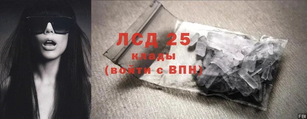PSILOCYBIN Вяземский